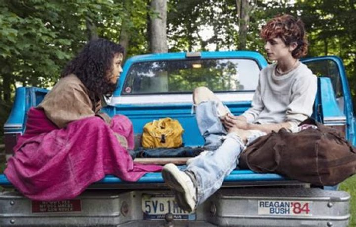 Armie Hammer’s Assertions Weren’t Obvious To Me, According To The Cannibal Movie’s Director Luca Guadagnino