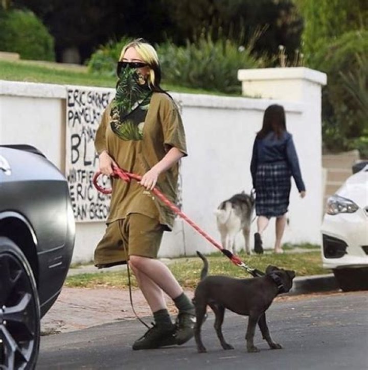 Billie Eilish Says Her Puppy Pooped All Over Her Shoe Collection