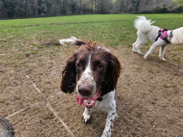 Bow Wow’s Followers Keep Reminding Him Of Old Private Jet Incident