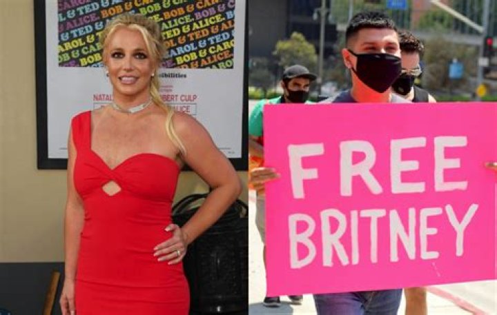 Britney Spears Court Documents Show She Appreciates Her Fans Involvement — #freebritney Movement Strengthens