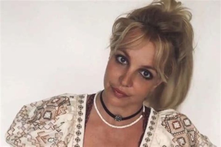 Britney Spears Goes Overboard With Body Henna — See The Photos