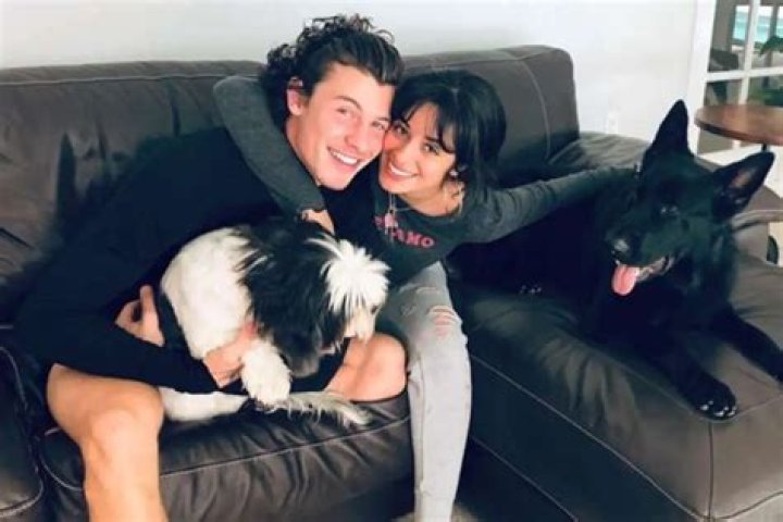 Camila Cabello Cuts Her Hair And Shawn Mendes Snaps A Photo — See The Look