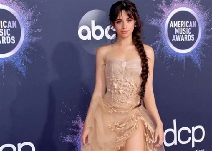 Camila Cabello Is Stunning In Oscar De La Renta At The American Music Awards