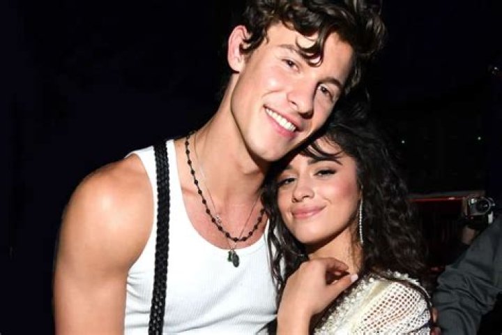 Camila Cabello Says She And Boyfriend Shawn Mendes Had Drifted Apart Before Collabing On Senorita