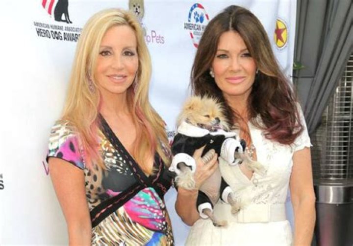 Camille Grammer Should Have Pulled A Lisa Vanderpump And Skipped The RHOBH Season 9 Reunion