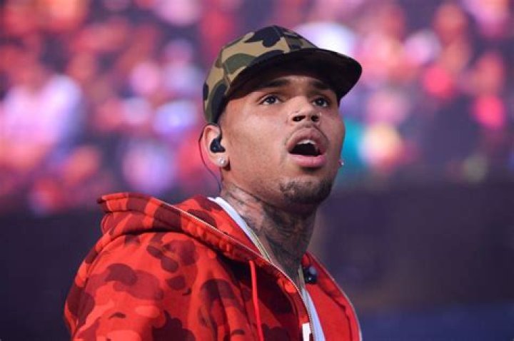 Chris Brown Partied With Reginae Carter For His Birthday – A Woman At The Party Might Have Overdosed