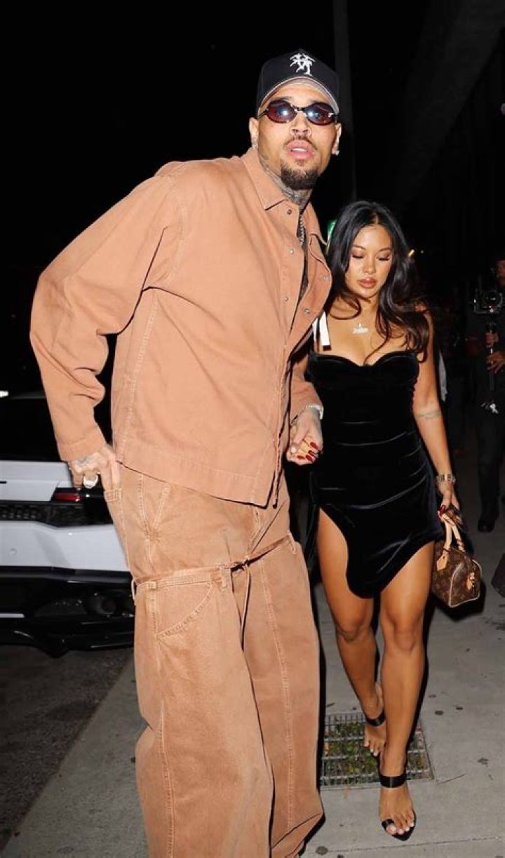 Chris Brown’s Pregnant Girlfriend, Ammika Harris, Shows Lots Of Skin In New Photos — Fans Are Still Confused By The Baby And Romance Rumors