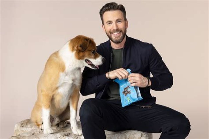 Chris Evans Speaks About His Dog Dodger And Whether He’s A Good Wingman Or Not