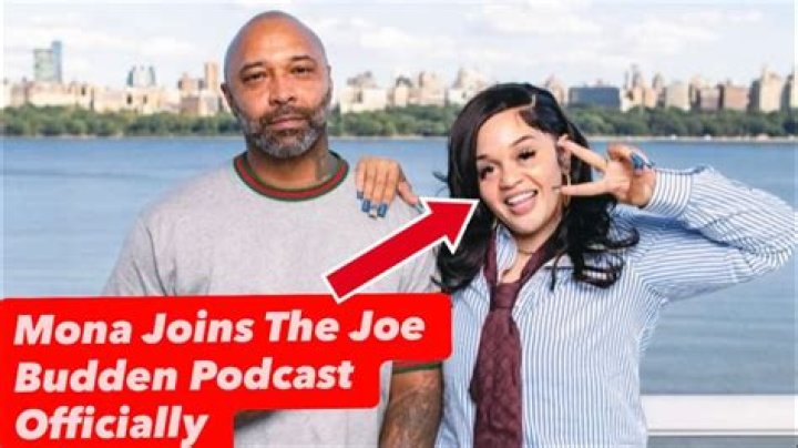 Cyn Santana Addresses The Leaked Audio Of Her And Joe Budden