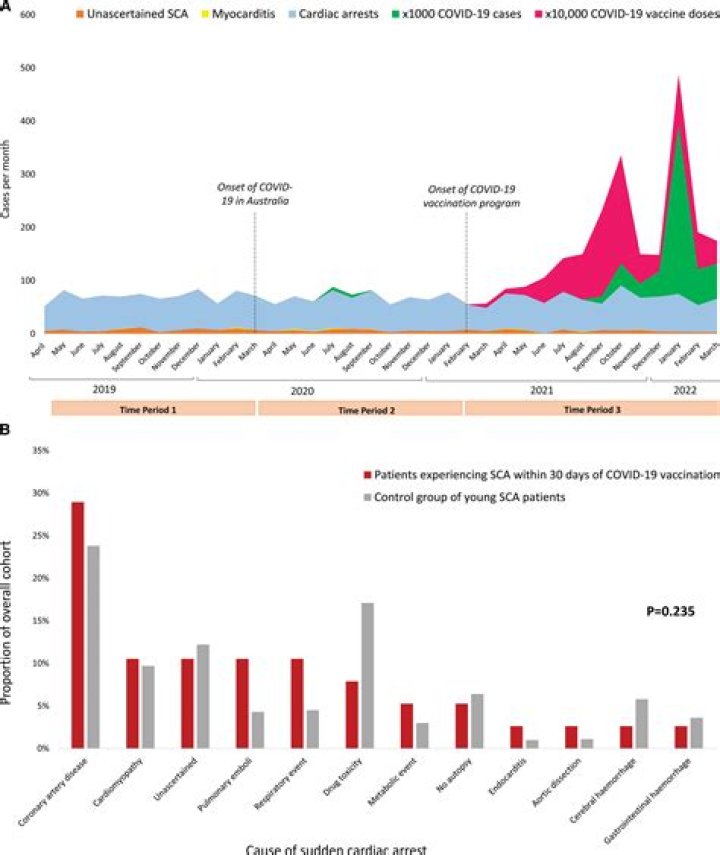 Cynthia Bailey Tells Fans What They Need While Traveling Amidst The Global Coronavirus Increasing Fear – People Bash Her For This Reason