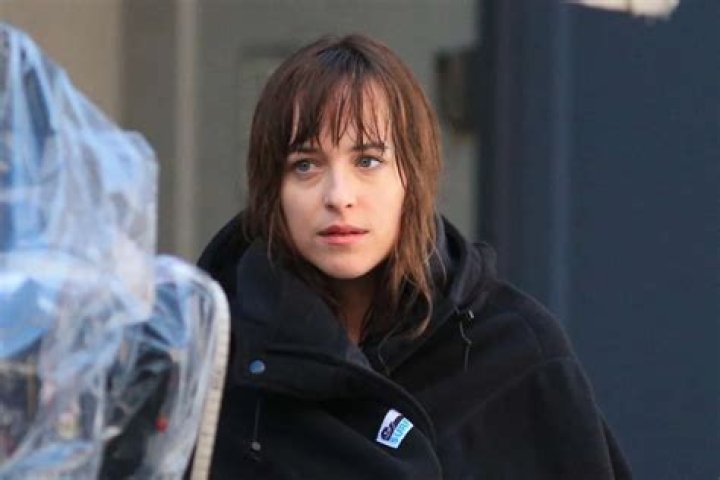 Dakota Johnson Dishes On Shia LaBeouf’s Arrest In July 2017