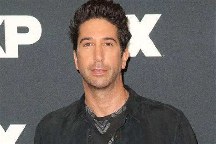 David Schwimmer Claims He Tried For Years To Introduce Women Of Color Onto Friends