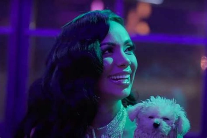 Erica Mena Is Shining In This Fashion Nova Dress