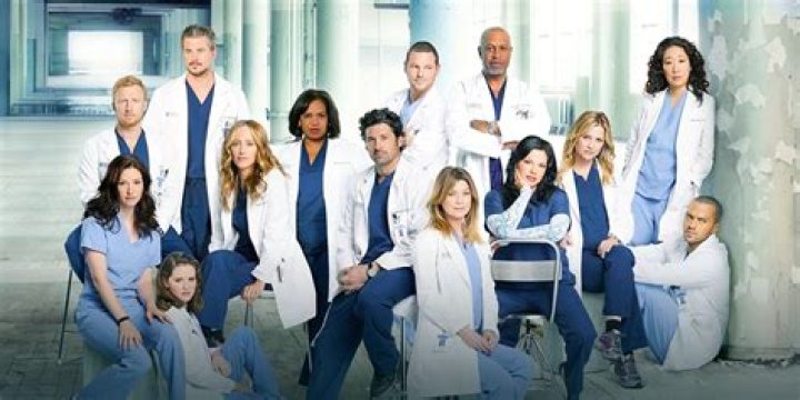 Grey’s Anatomy Has Had Some Very Famous Guest Stars Over 15 Seasons