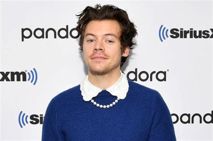 Harry Styles Forced To Cancel Concert After Nearby Shooting Kills Several People