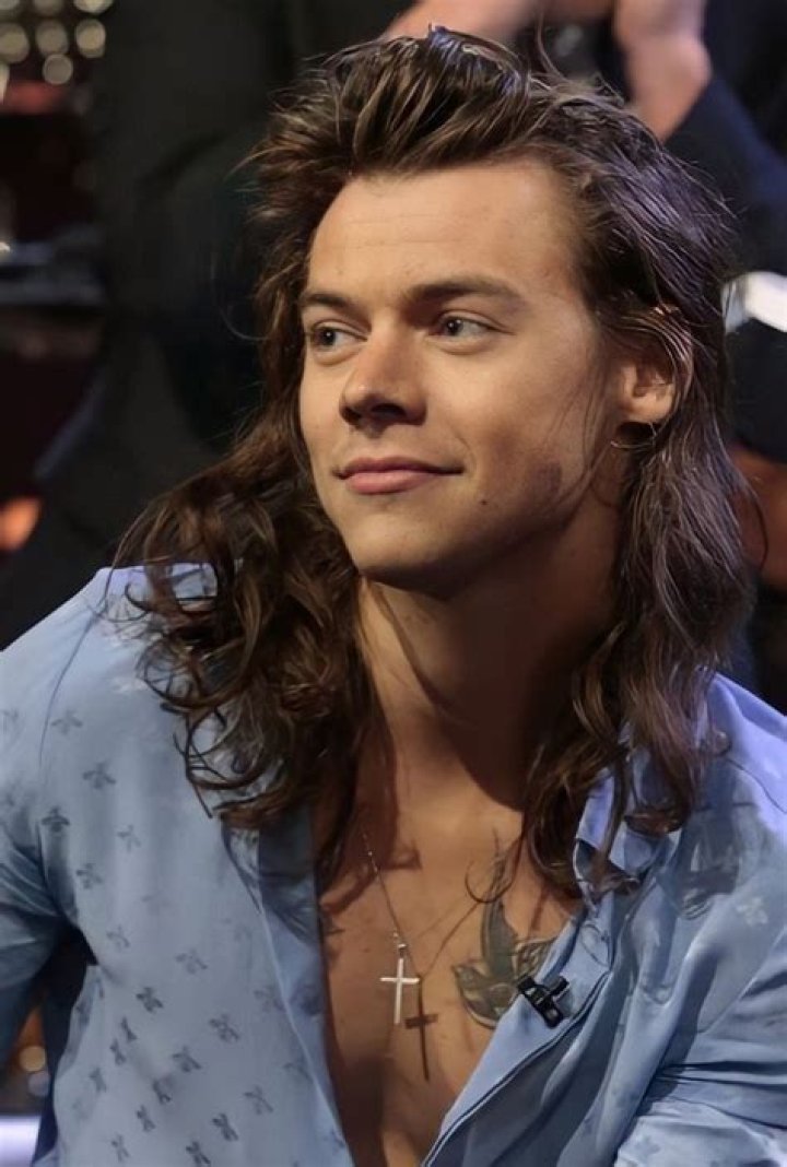 Harry Styles’ Hair Defied The Efforts Of ‘Don’t Worry Darling’ To Make It Appear Bad
