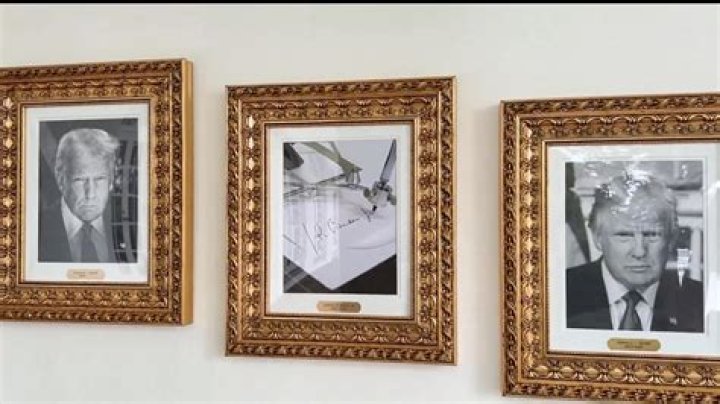 Harry Styles Reveals That He Has Joe Biden’s Back For 2020 Election