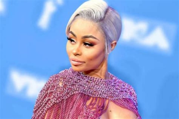 Harvard Alums Slam Blac Chyna And Her Claims She Got Into The Prestigious Business School