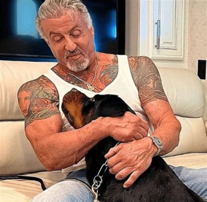 In Order To Make Jennifer Flavin Resemble Wonder Woman, Sylvester Stallone Wanted To Modify Her Tattoo