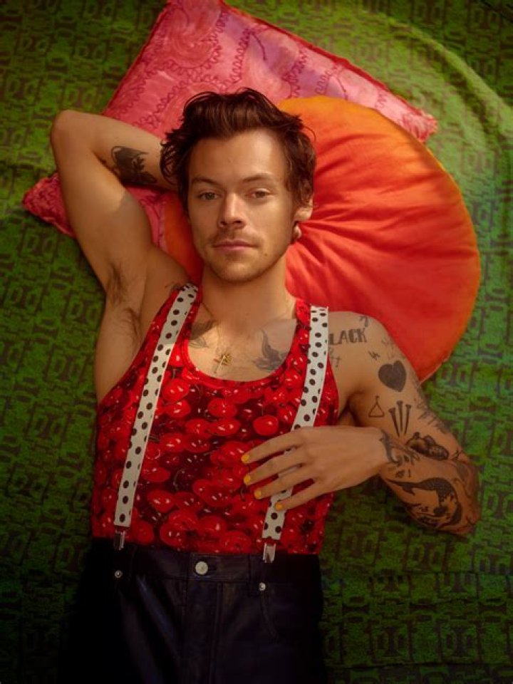 Is Harry Styles A Heartbreaker And A Homewrecker?