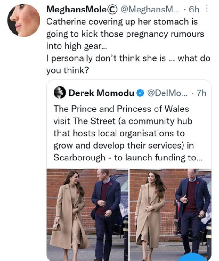 Is Kate Middleton Pregnant With Another Girl?