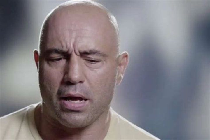 Joe Rogan Says He Had ‘Such A Good Time’ Meeting Post Malone