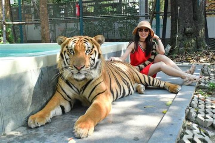 Kandi Burruss Is Having The Time Of Her Life Riding Elephants And Taking Pics With A Tiger In Thailand