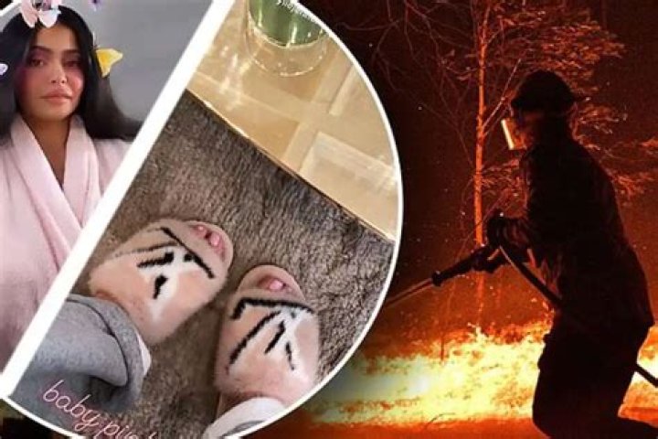 Kylie Jenner Reportedly Donates $1 Million To Various Australian Relief Efforts After Getting Called Out For Her ‘Hypocrisy’