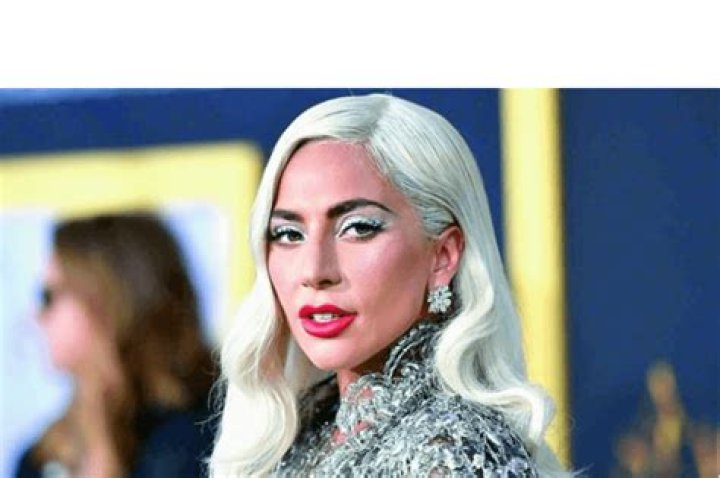 Lady Gaga Steps Out In Alberta Ferretti But Fans Are Going Crazy Over Her Bodyguard Peter Van Der Zeen