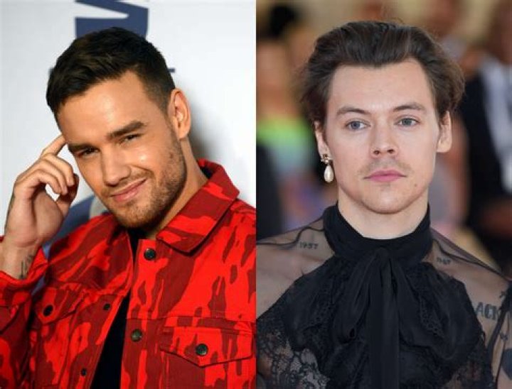 Liam Payne Posts Hilarious TikTok Video With Harry Styles And Fans Are Freaking Out – Did They Just Tease Their Reunion?
