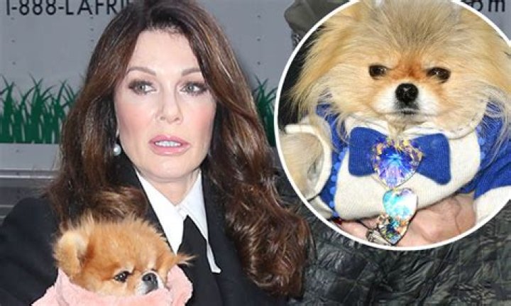 Lisa Vanderpump’s Dog Foundation Responds To Sexual Harassment Lawsuit