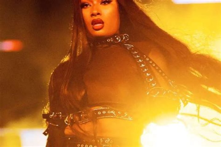 Megan Thee Stallion Shows Off Her Abs In This Fendi Outfit