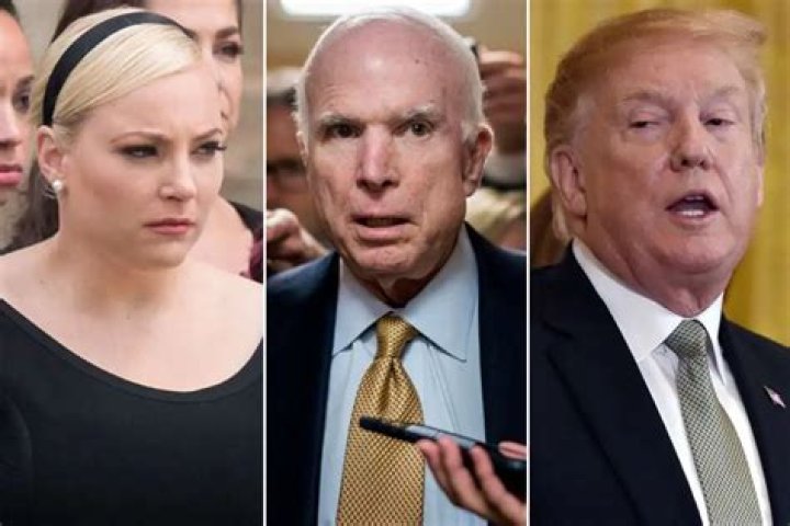 Meghan McCain Claps Back At ‘Disgraced President’ Donald Trump After He Attacks Her Late Father Senator John McCain Again!