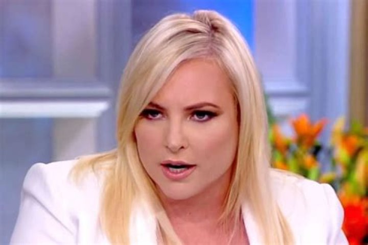 Meghan McCain In Hot Water For Defending AR-15 Gun Owners Despite The Tragic Texas Shooting