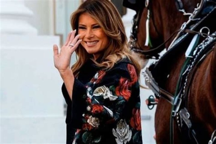Melania Trump Is Gorgeous In Dolce & Gabbana As White House Recieves Christmas Tree