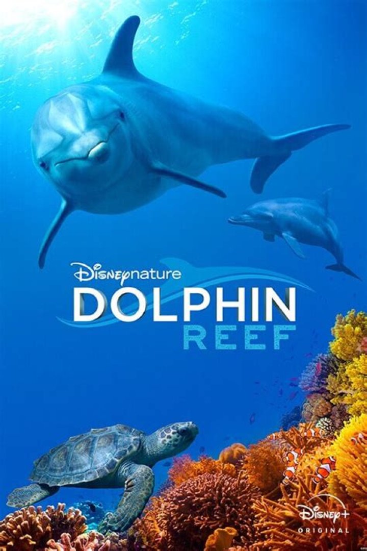 Natalie Portman Will Narrate Upcoming Disney Movie ‘Dolphin Reef’ — Disneynature Films