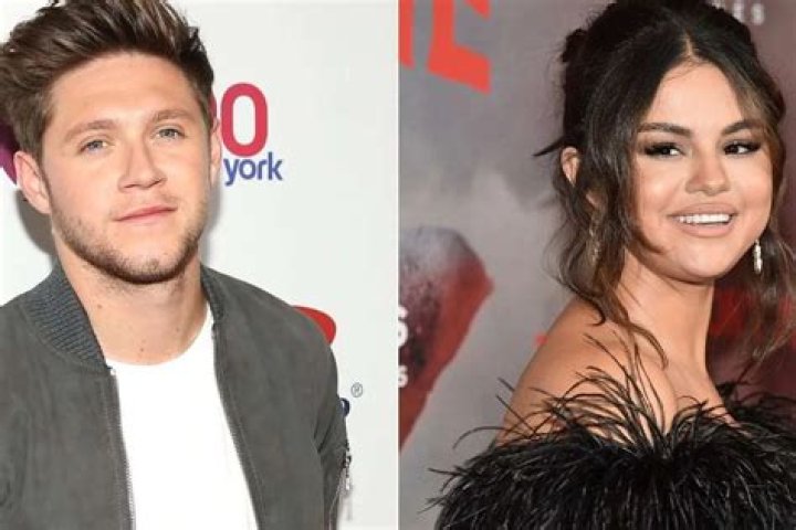 Niall Horan Raves About Selena Gomez As Fans Plead With Them To Date!