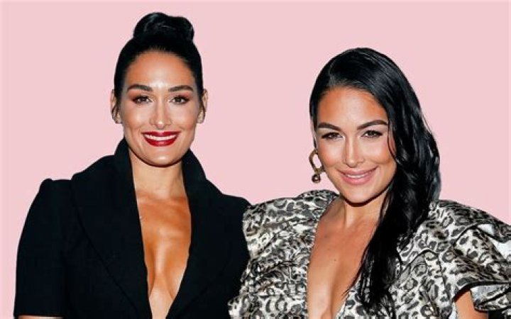 Nikki And Brie Bella Are Sure They’ll Give Birth On The Same Day And That They’re Having ‘Twins!’