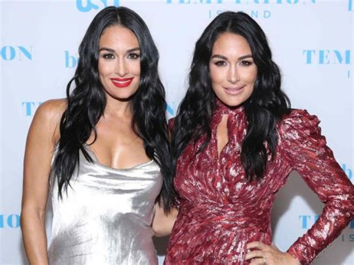 Nikki And Brie Bella Open Up About Their Fitness Almost A Year After Giving Birth!