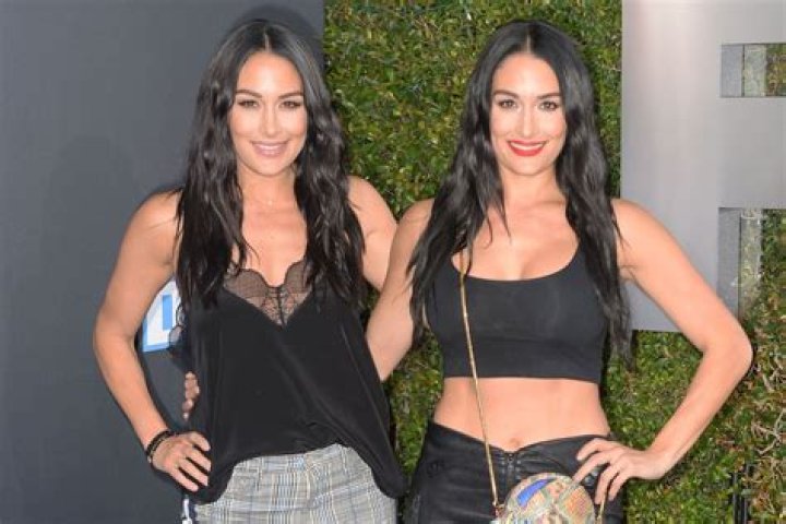 Nikki And Brie Bella Reportedly ‘Nervous’ About Their Fast-Approaching Due Dates – Here’s Why!