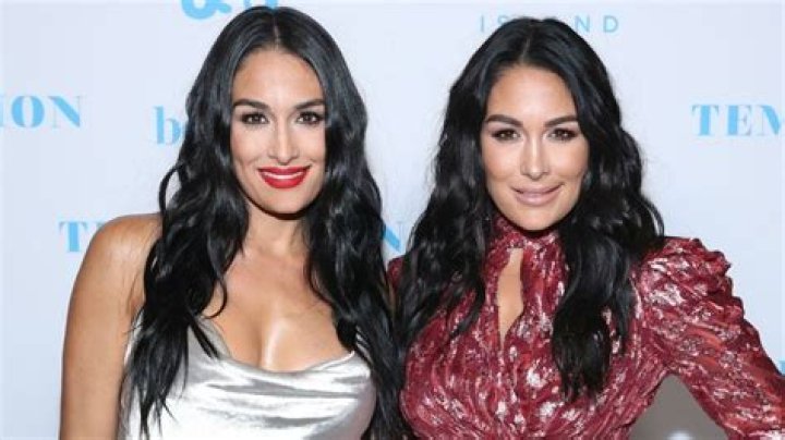 Nikki And Brie Bella Talk Being Pregnant And In Quarantine Together – ‘Haven’t Fought Yet!’