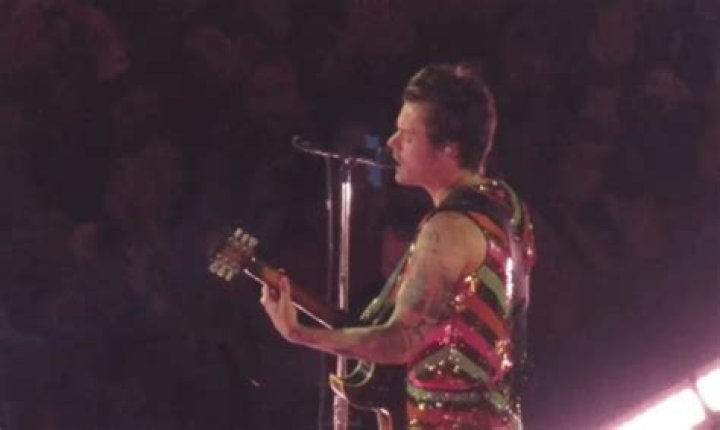 Onstage, Harry Styles Wore A Pair Of Vans Instead Of Adidas