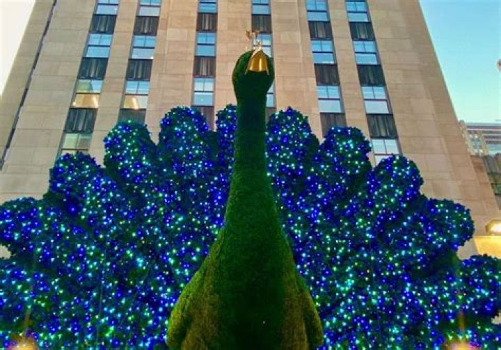 Peacock Is Officially Set To Launch This Summer – Everything You Need To Know About NBC’s New Streaming Service