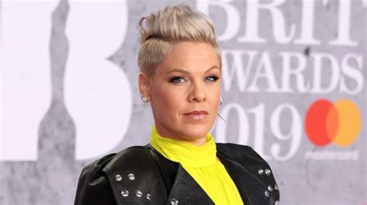 Pink Claps Back In Response To Hateful Comments After The Singer Makes Her Support Of The ‘Black Lives Matter’ Movement Clear!
