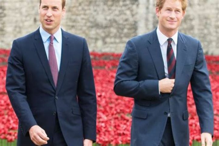 Prince Harry And Prince William Are ‘Just Fine’ Despite Reports They Are ‘Drifting Apart’