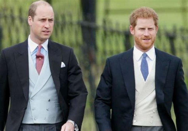 Prince Harry And Prince William Still Have A Difficult Relationship With Camilla Parker Bowles