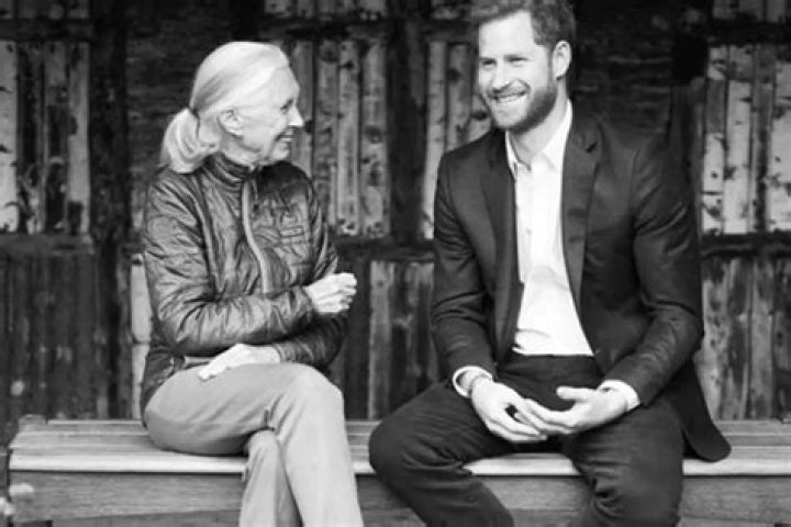 Prince Harry Is Finding His New Post-Royal Life To Be ‘Quite Challenging,’ According To Jane Goodall