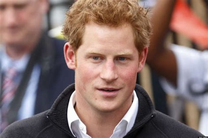 Prince Harry Reportedly Tried To Fake Accent In Canadian Decor Shop