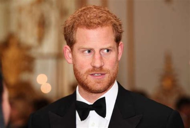 Prince Harry Writes An Essay For Fast Company Claiming Social Media Causes Division