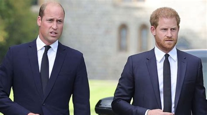 Prince William And Prince Harry Have Reportedly Never Been To Camilla Parker Bowles’ Home